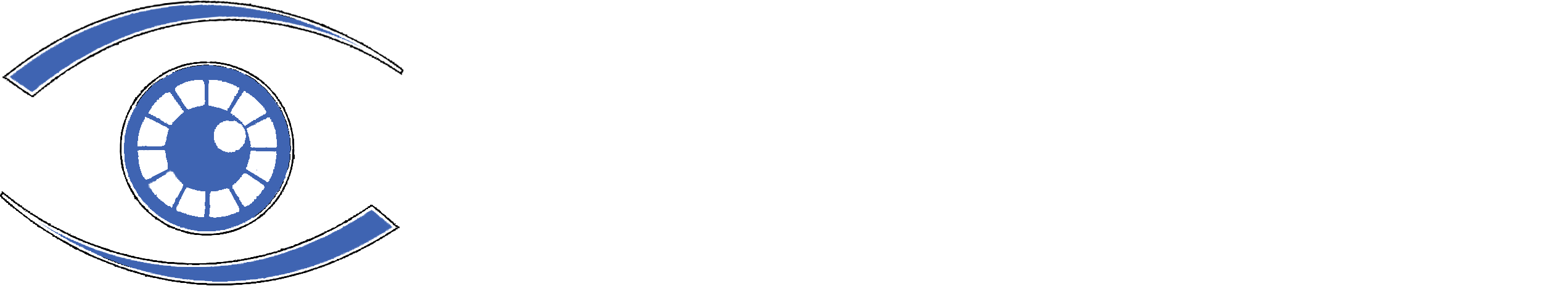 Forest Hills Vision Associates